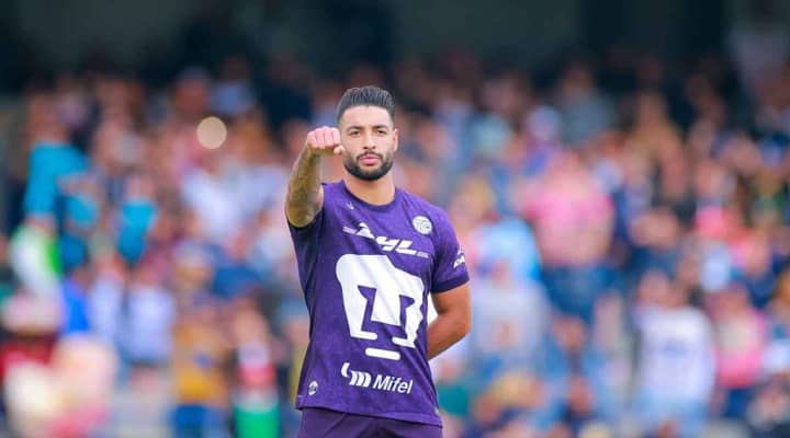 Purple pumas noticias outlet