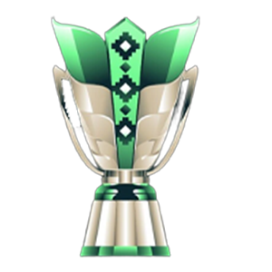 كأس اسيا