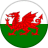 Wales U17