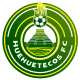 Huehuetecos FC