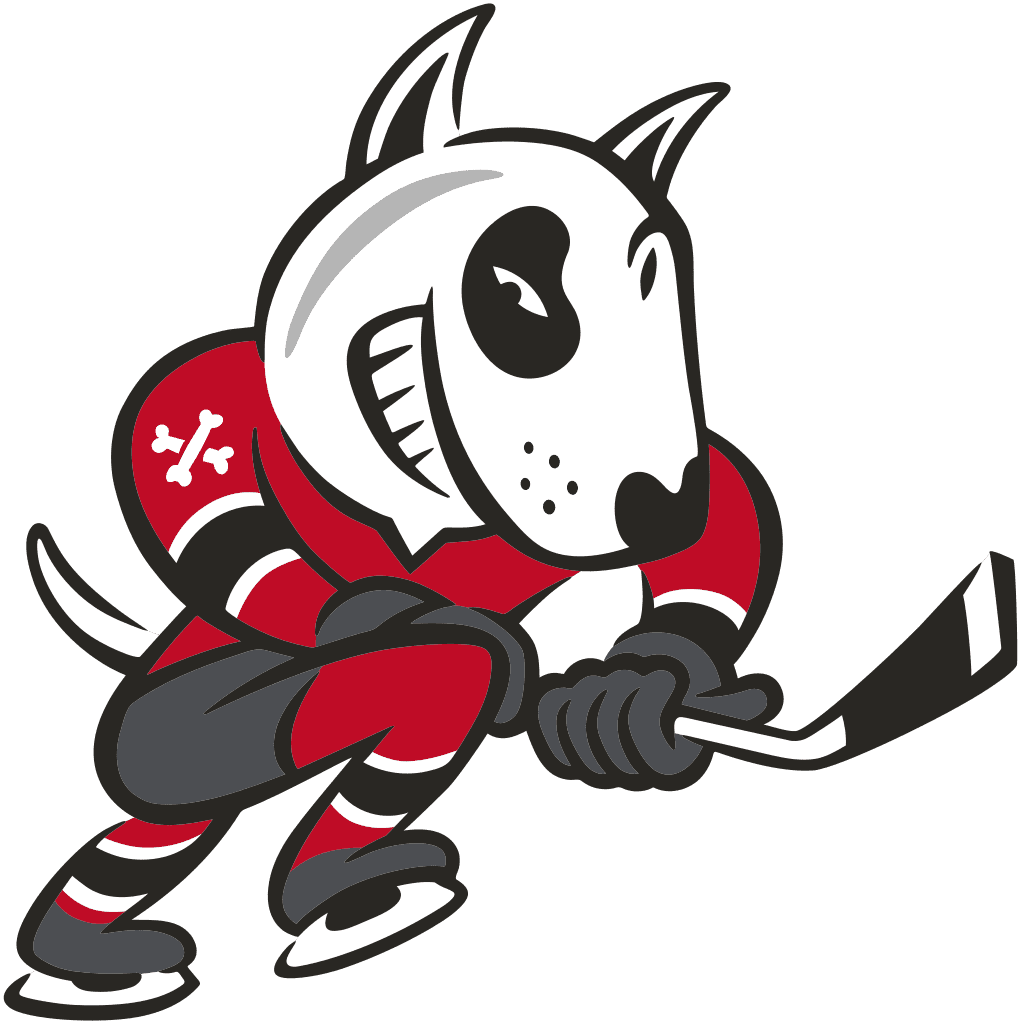 Niagara Icedogs