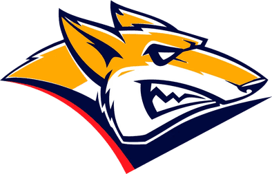 Metallurg Magnitogorsk