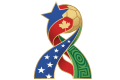 International, FIFA World Cup - Group A