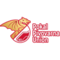 Slovenia, Hervis Pokal - Final