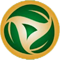 Brazil, Copa Verde - Group D