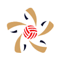 Asia, AVC Champions League - Quarter Finals