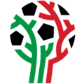 Mexico, Liga TDP