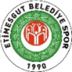 Etimesgut FC logo