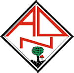 AD Nogueirense logo