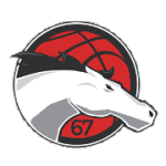 Leicester Riders logo