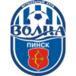 Volna Pinsk logo