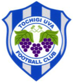 Tochigi City logo