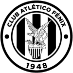 CA Fenix logo