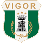 Vigor Lamezia logo