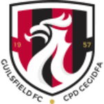 Guilsfield FC logo
