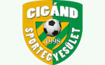 Cigand SE logo