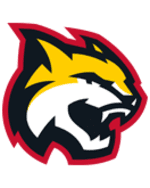 HC Gomel logo