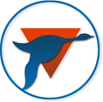Bigua football club logo