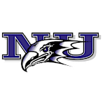 Niagara logo
