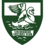 Leatherhead logo