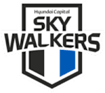 Hyundai Skywalkers football club logo