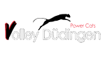 Volley Düdingen (W) logo