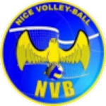 Nice VB logo