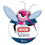 Novara (W) logo