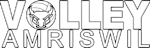 Amriswil logo