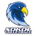VB NÖ Sokol/Post (W) logo