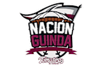 Tomateros De Culiacan logo