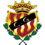 Gimnastic logo