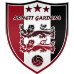 Arnett Gardens football club logo