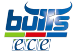 Kapfenberg Bulls logo