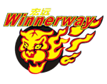 Guangdong Southern Tigers football club logo