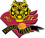 Jilin Northeast Tigers logo
