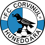 Hunedoara logo