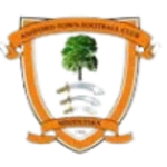 Ashford Town (Middlesex) logo