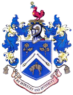 Nelson logo