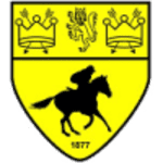 Newmarket Town logo