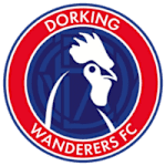 Dorking Wanderers logo