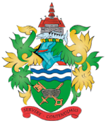 Chertsey Town logo