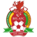 Briton Ferry logo