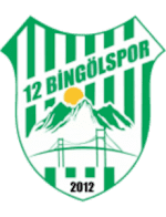 12 Bingöl Spor football club logo