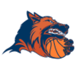 Dynamo Chelyabinsk logo