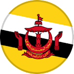 Brunei logo