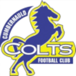 Cumbernauld Colts logo