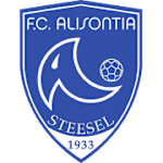 Alisontia Steinsel logo