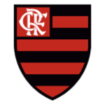 Flamengo/RJ Youth logo