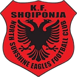 North Sunshine Eagles logo